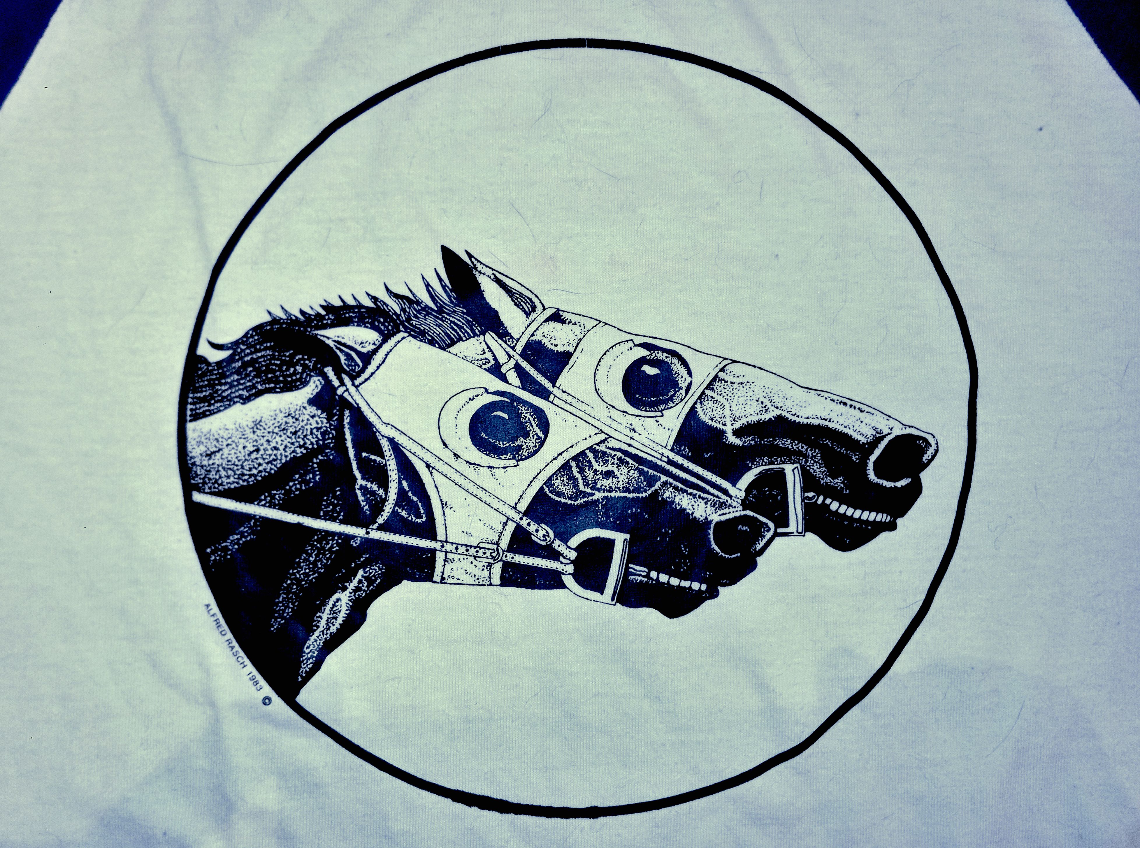 two racing horses